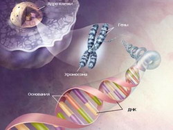 геномика