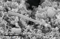 в недрах земли найден микроб, живущий сам по себе