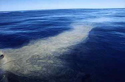 мировой океан дышит азотом