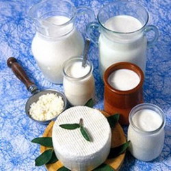 технология производства молочных продуктов