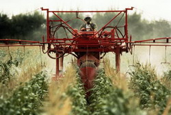 современная ситуация по пестицидам в россии