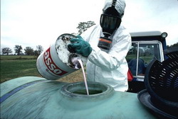 пестициды – приоритетные поллютанты окружающей среды (экотоксикология пестицидов)