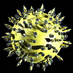 терапевтические антитела против гепатита с